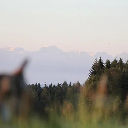 Gaestehaus Wilder Mann * Bonndorf im Schwarzwald