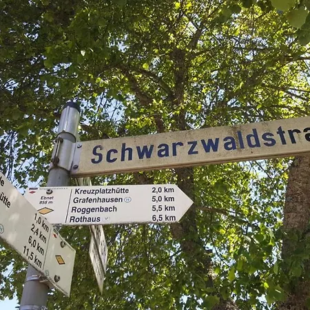Gaestehaus Wilder Mann Bonndorf im Schwarzwald