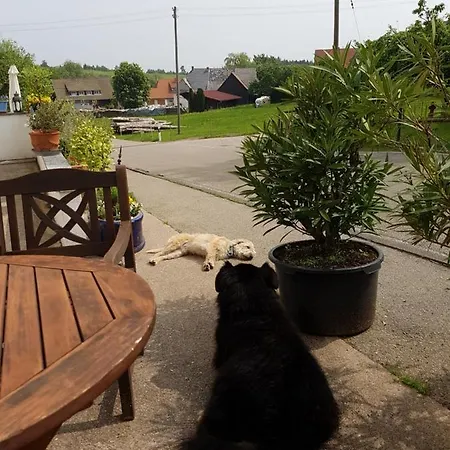 Ferienwohnung Wilder Mann Bonndorf