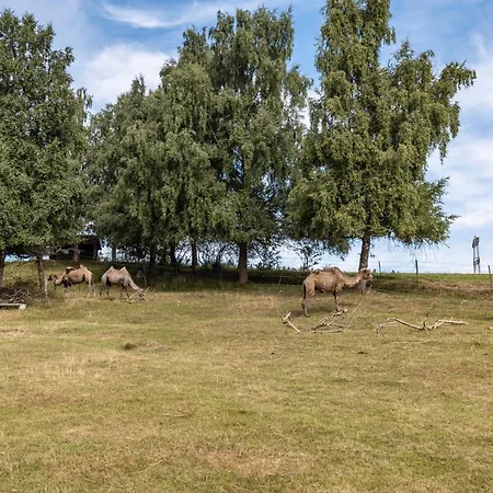 Apartamento Ferienwohnung Wilder Mann Bonndorf