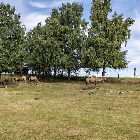 Apartment Wilder Mann Bonndorf im Schwarzwald