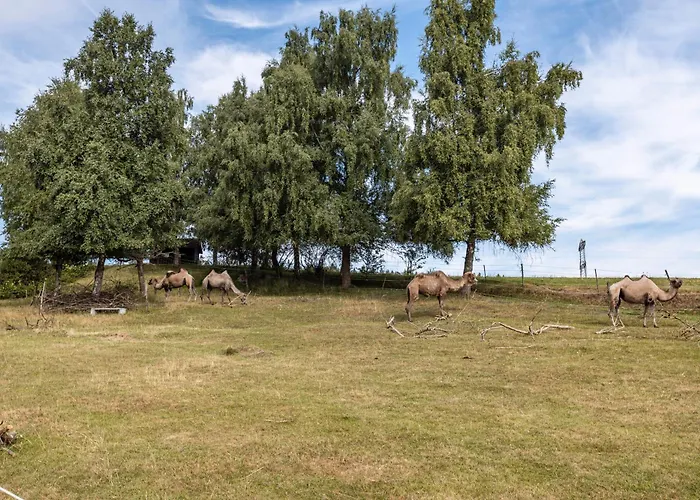 Wilder Mann Apartamento *